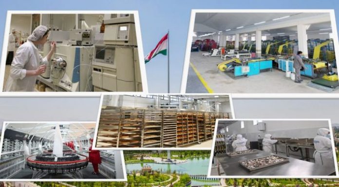 НАҚШИ ПЕШВОИ МИЛЛАТ ДАР ТАТБИҚИ ҲАДАФҲОИ СТРАТЕГИИ РУШД