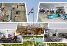 НАҚШИ ПЕШВОИ МИЛЛАТ ДАР ТАТБИҚИ ҲАДАФҲОИ СТРАТЕГИИ РУШД